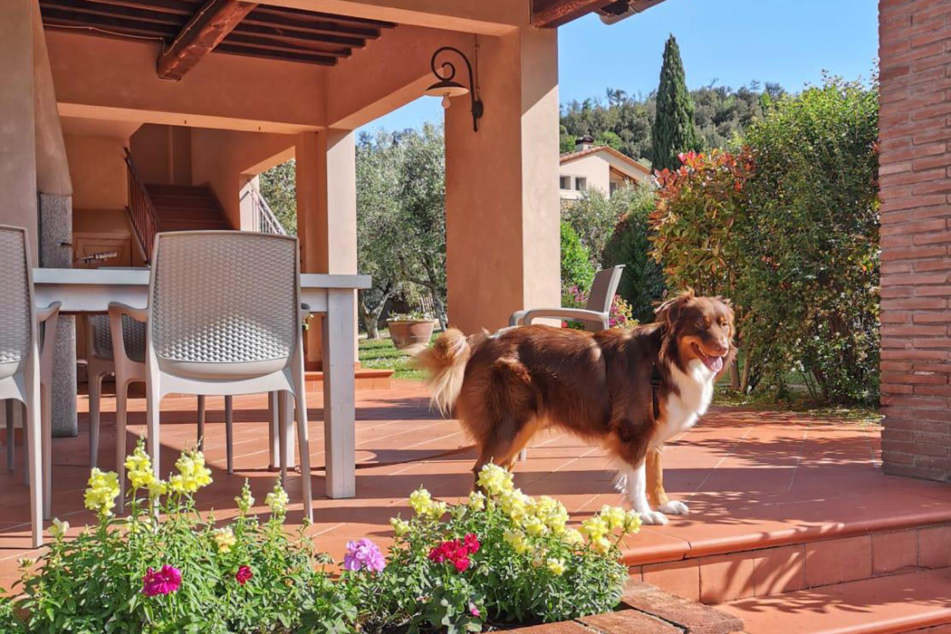 Luxe gemoedelijke agriturismo bij Volterra in Toscane