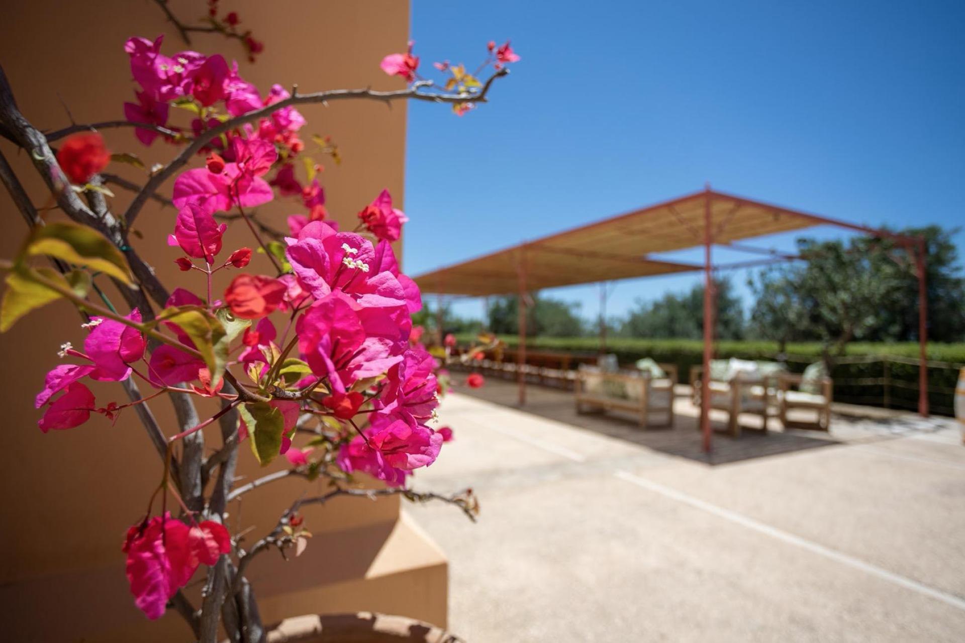 Agriturismo op Sicilië nabij zee en met restaurant